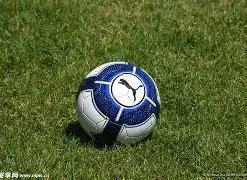 法比奥力夺,四子荣耀,创国安队史,yy易游体育官方,yy易游中国体育,YY易游体育官方网站,yy易游体育app下载