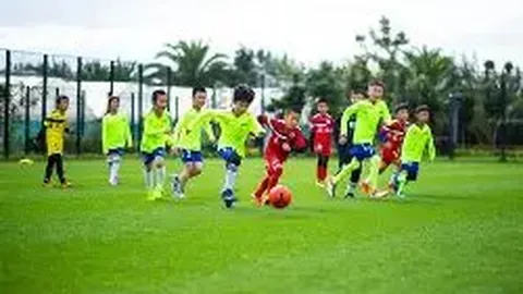 YY易游体育官方网站 产品 141727 dth