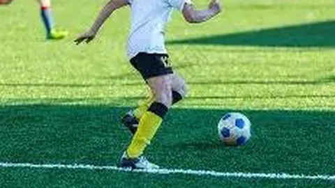 YY易游体育官方网站 资讯 143157 dds