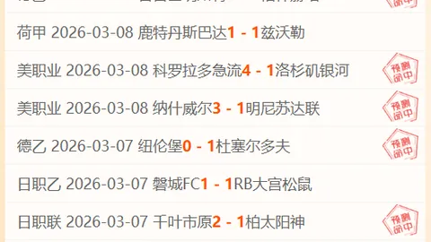 狐狸队主帅范尼或因战铁锤帮失利面临下课风险